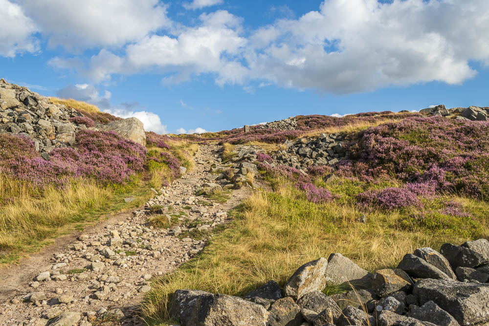 Stanage Edge